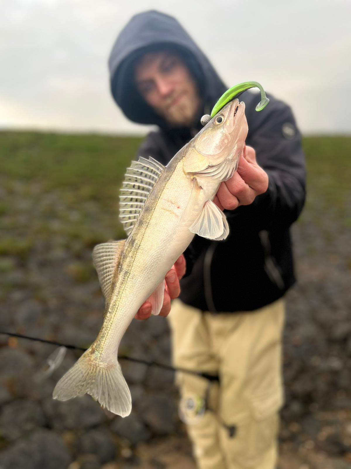 Gummifisch 'GeilerHecht' 10cm / green hornet / 2 St.