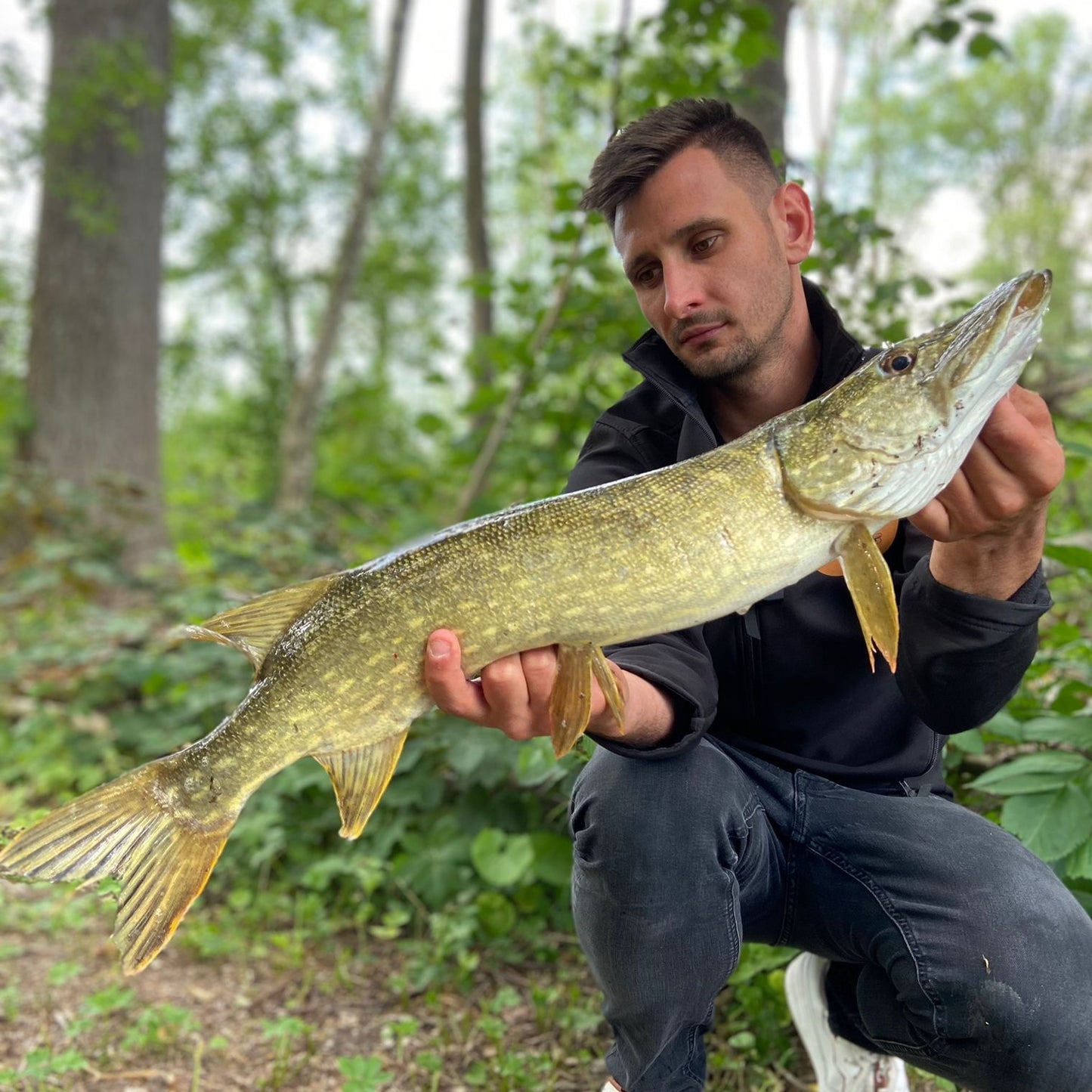 BiteFight-Shad / 14cm / pearly cinnamon / 1 Stk.