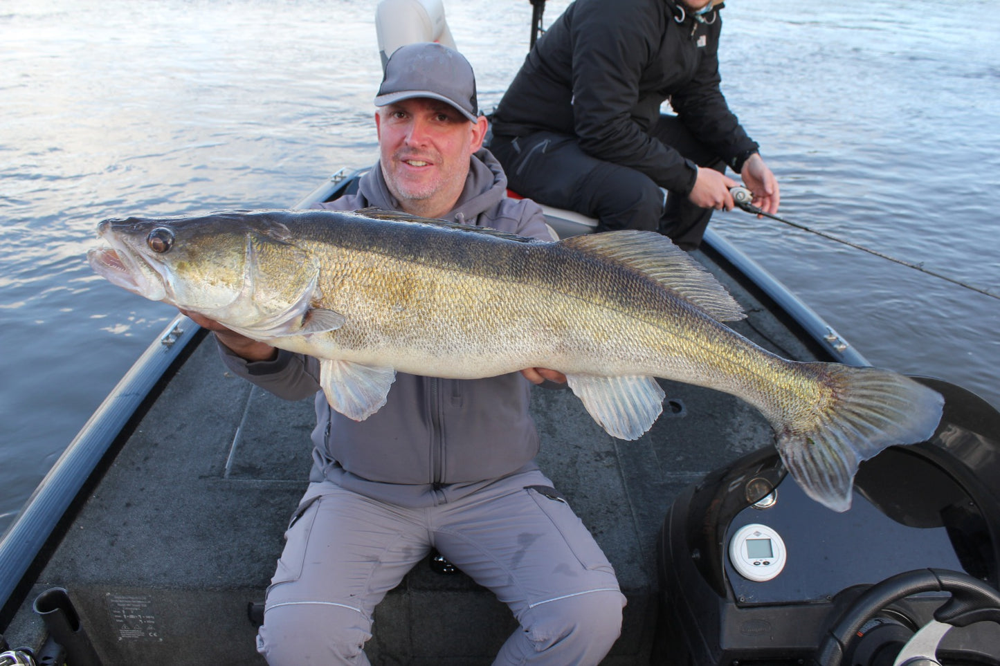 Pintail "Pelagic Peter"/ 23cm / fluo chartreuse / 1. Stk.